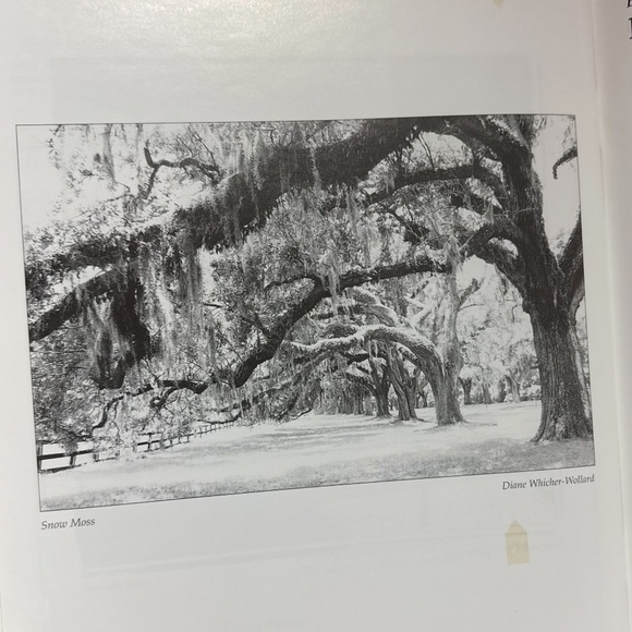 ART-PHOTOGRAPHY - Picture 7 of 14